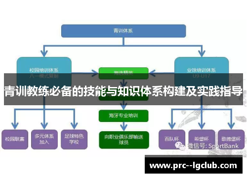 青训教练必备的技能与知识体系构建及实践指导